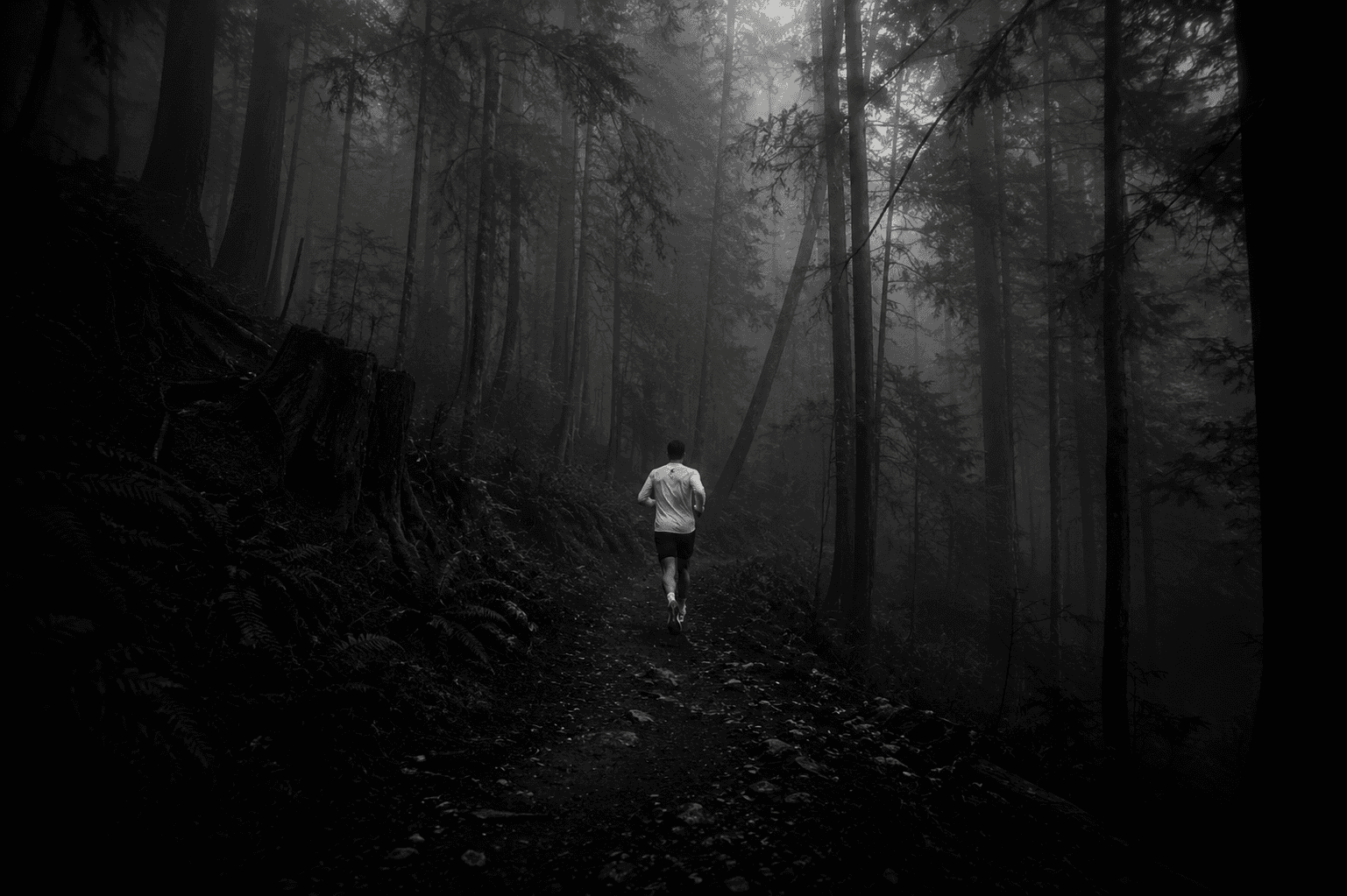 A lone runner on a misty forest trail at first light